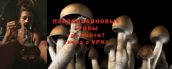 ALPHA PVP Верея